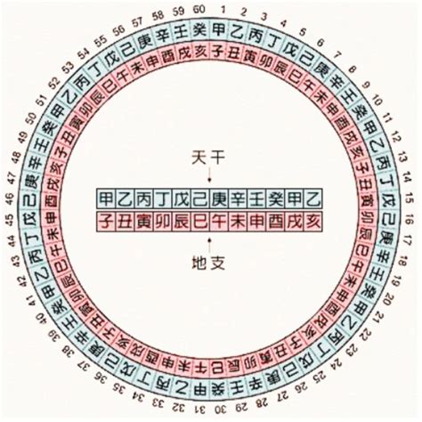 天干地支時間表|干支对照表